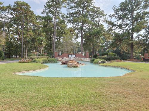 Amenities and Golf Cart Living : Daphne : Baldwin County : Alabama
