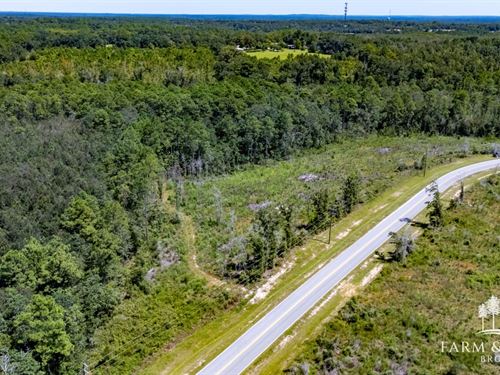 19.1 Ac Decon Road East : Bonifay : Holmes County : Florida
