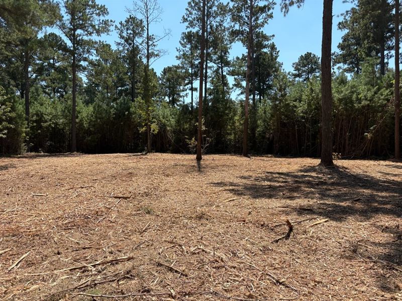 South Monroe Acreage : Forsyth : Monroe County : Georgia