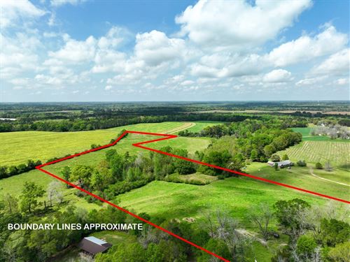 20 Acre Homesite or Farmland Opport : Dothan : Houston County : Alabama