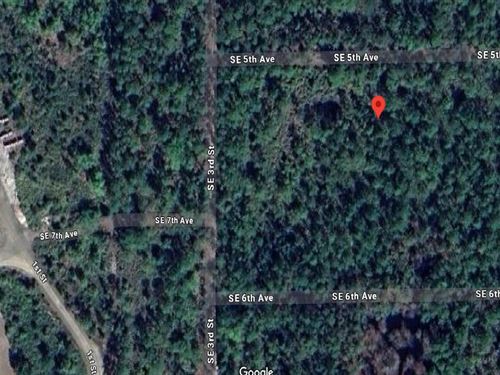 Dream Land Deal Only $199 Down : Federal Point : Putnam County : Florida