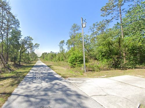 Half an Acre, Big Dreams, $387/Mo : Dunnellon : Marion County : Florida