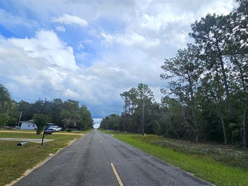High and Dry in Interlachen Florida : Interlachen : Putnam County : Florida