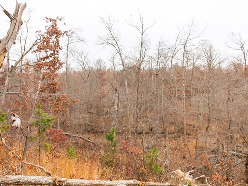 Last Tract in Cherokee County : Peggs : Cherokee County : Oklahoma