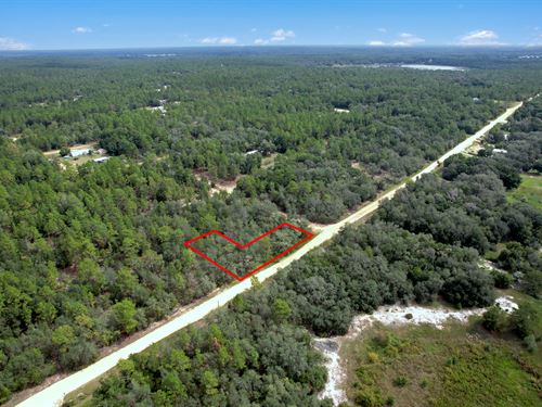 Mobile Homes Allowed, High and Dry : Interlachen : Putnam County : Florida