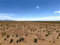 Land with Mountain & Desert Views : Belen : Valencia County : New Mexico