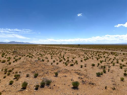 Land with Mountain & Desert Views : Belen : Valencia County : New Mexico