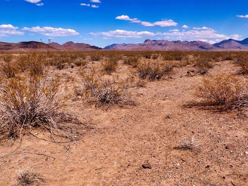$245 Down Gets You 1.16 Acres Land : Dolan Springs : Mohave County : Arizona