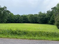 Hunting Land in McNairy County : Adamsville : McNairy County : Tennessee