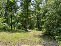 Unrestricted Land Near River : Sardis : Hardin County : Tennessee