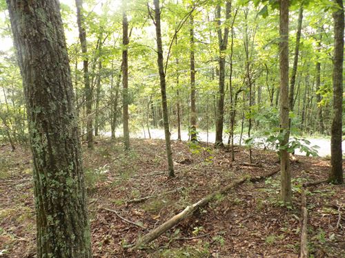 Land with Mountain Views : Pikeville : Bledsoe County : Tennessee