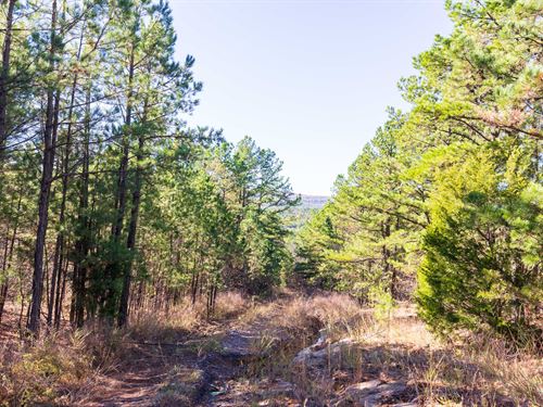 $999 Down Off Grid Land : McCurtain : Haskell County : Oklahoma