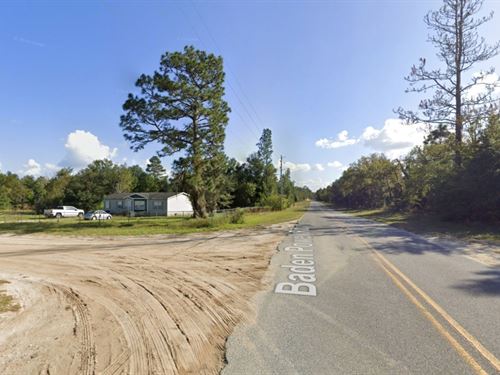 Over an Acre, 8 Lots Side by Side : Hawthorne : Putnam County : Florida