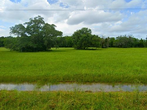 Bar X Ranch Lot : Angleton : Brazoria County : Texas