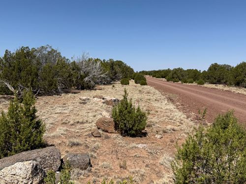 1.03 Acres in Beautiful Concho, AZ : Concho : Apache County : Arizona