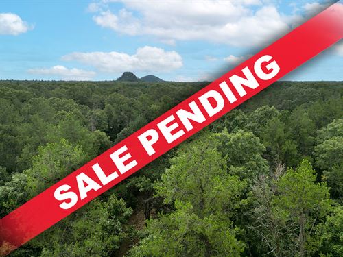 3.5 Acres Near Castle Rock : Friendship : Adams County : Wisconsin