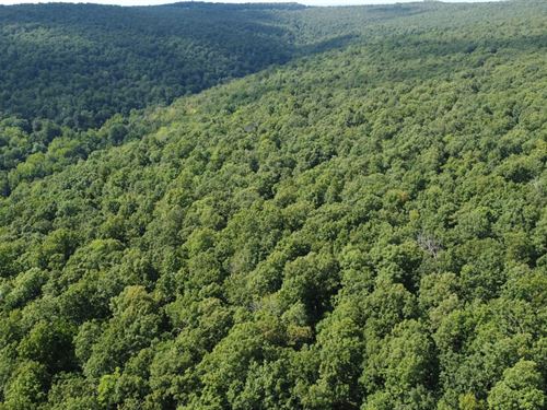 Secluded in The Ozark Mountains : Leslie : Searcy County : Arkansas