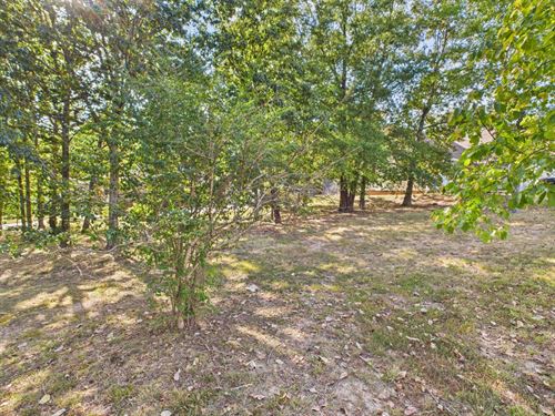 .5 Flat Lot For Sale in Poplar : Poplar Bluff : Butler County : Missouri