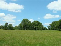 6 Acres, Electric Available, Nice : Mountain View : Howell County : Missouri