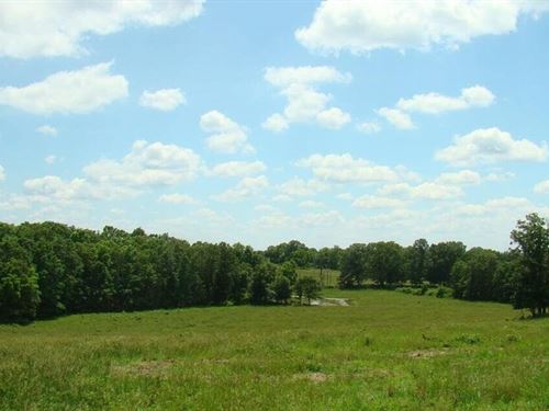 6 Acres, Pond, Electric Available : Mountain View : Howell County : Missouri