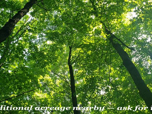 5 Secluded Acres Near Phillips WI : Phillips : Price County : Wisconsin