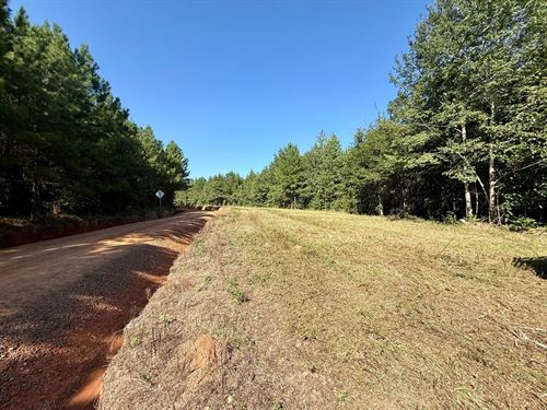 Tract B Holt Rd Houston Co : Elko : Houston County : Georgia