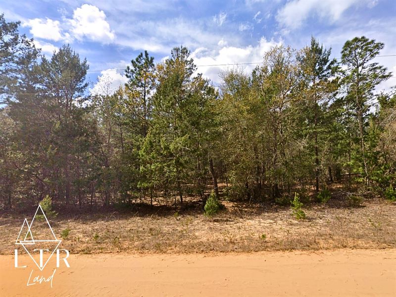 Small Lot, Huge Possibilities : Interlachen : Putnam County : Florida
