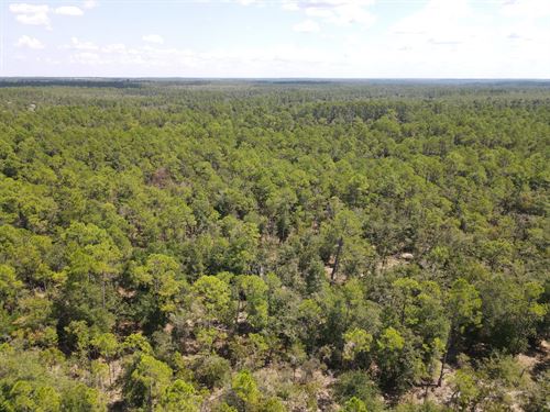 Sally Road : Chipley : Washington County : Florida