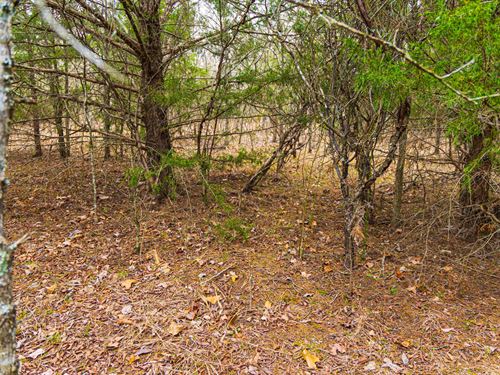 $999 Dwn with Electric Near Lake : Canadian : Pittsburg County : Oklahoma