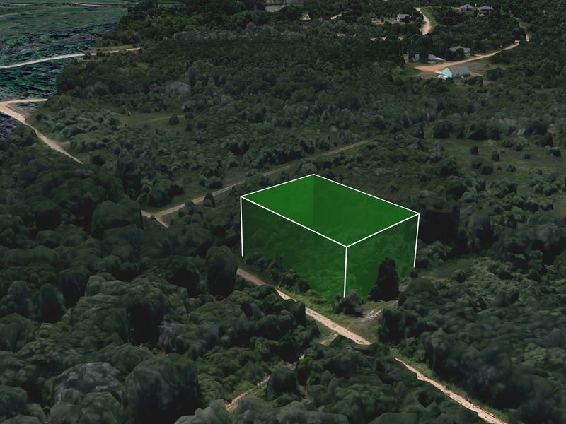 .27 Acre Lot in Tahitian Village : Bastrop : Bastrop County : Texas