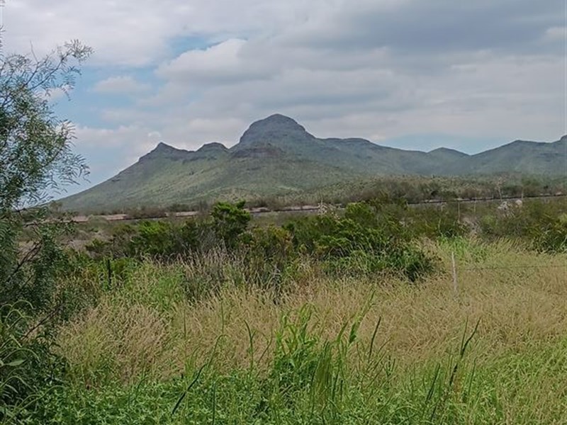 Texas Freedom to Build, Camp, & RVs : Van Horn : Culberson County : Texas