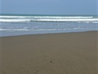 Oceanfront Lot Quepos : Quepos : Costa Rica