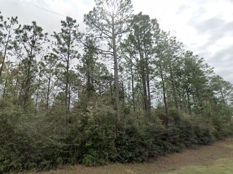 Relaxation is Only Moments Away : Defuniak Springs : Walton County : Florida