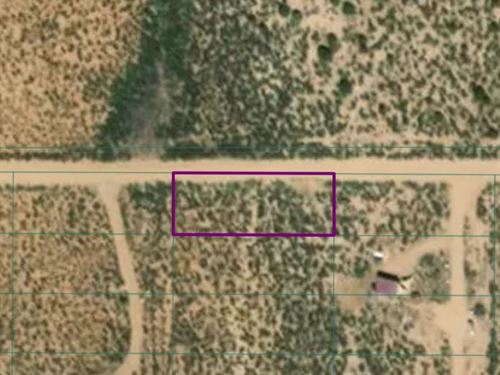 Pleasing 1/4 Acre Road Frontage : Tres Piedras : Taos County : New Mexico