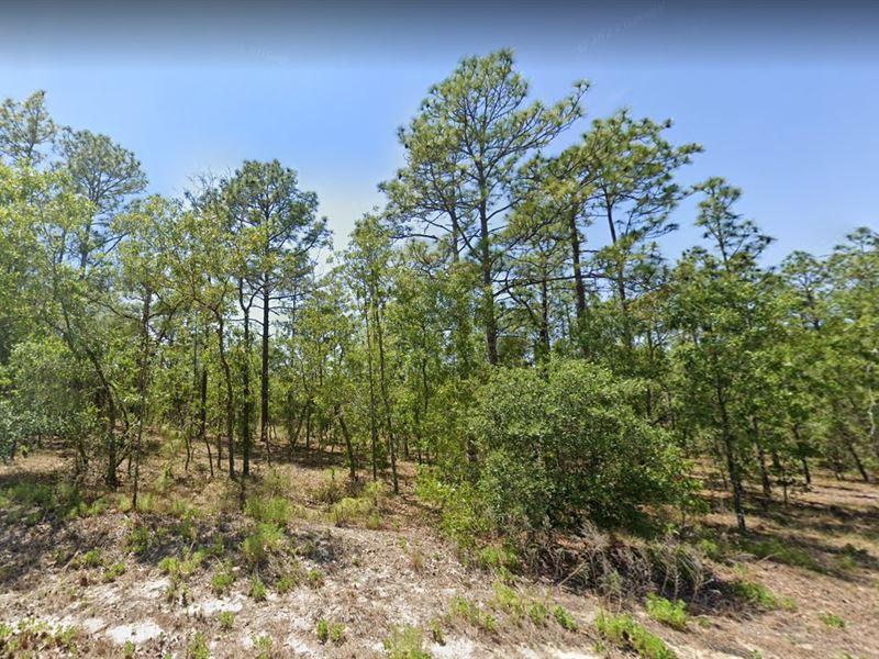 $299 Down Unlocks Dunnellon Bliss : Dunnellon : Marion County : Florida
