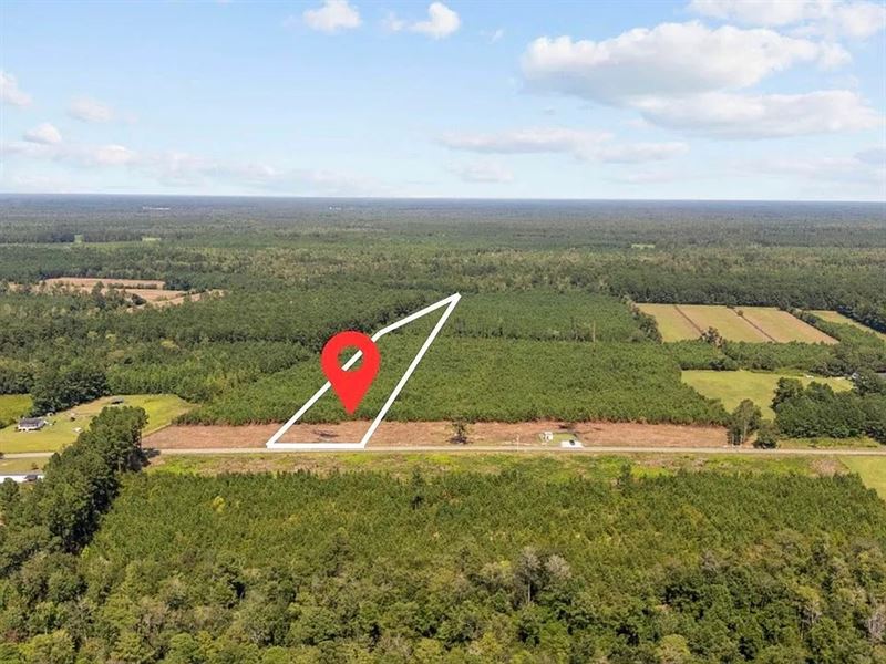 B2 Black Creek Rd : Nichols : Marion County : South Carolina