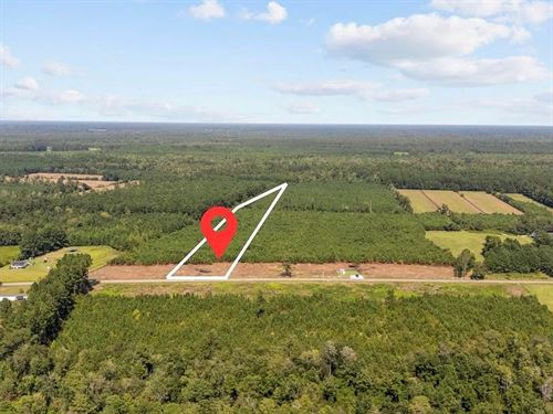 B2 Black Creek Rd : Nichols : Marion County : South Carolina