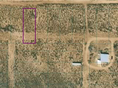 Magnificent Quarter Acre Lot : Tres Piedras : Taos County : New Mexico