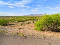 Low Priced Lot in a Serene Setting : Deming : Luna County : New Mexico