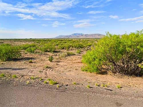 Low Priced Lot in a Serene Setting : Deming : Luna County : New Mexico