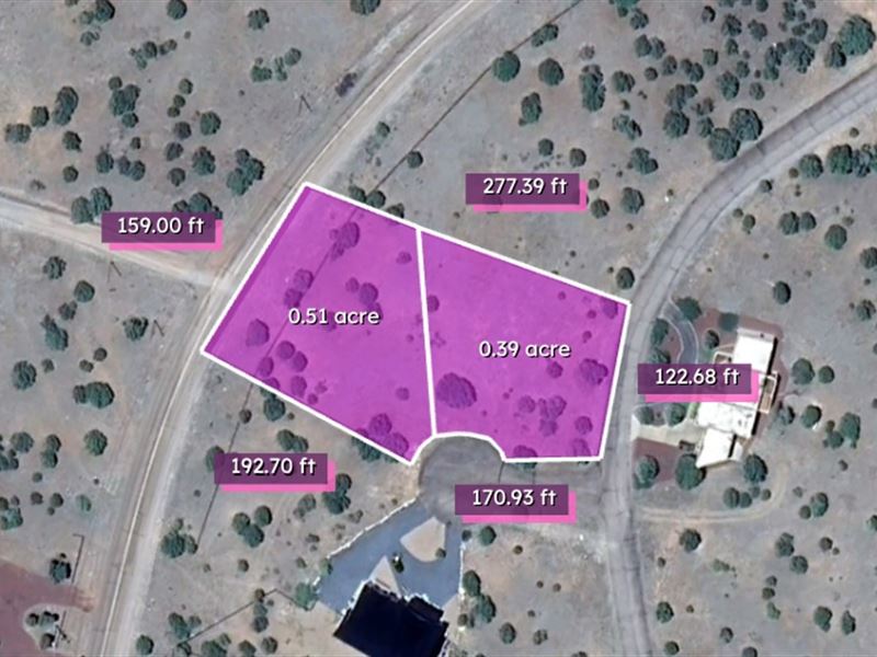 Cash Deal for Two Beautiful Lots : Show Low : Navajo County : Arizona
