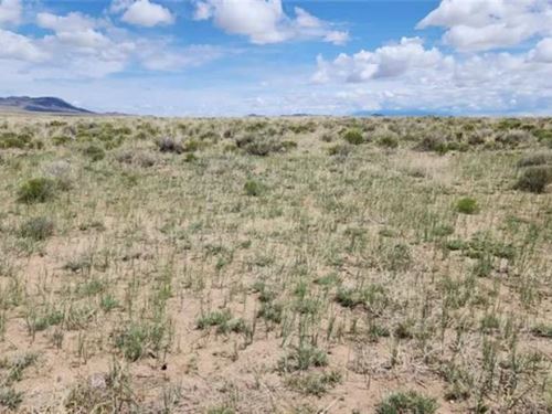 Panoramic Mountain View Treed.41 : Colorado City : Pueblo County : Colorado