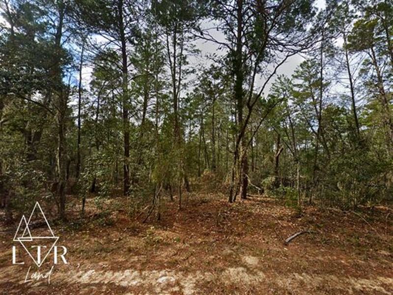 No HOA, No Hassle : Interlachen : Putnam County : Florida