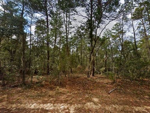 No HOA, No Hassle : Interlachen : Putnam County : Florida