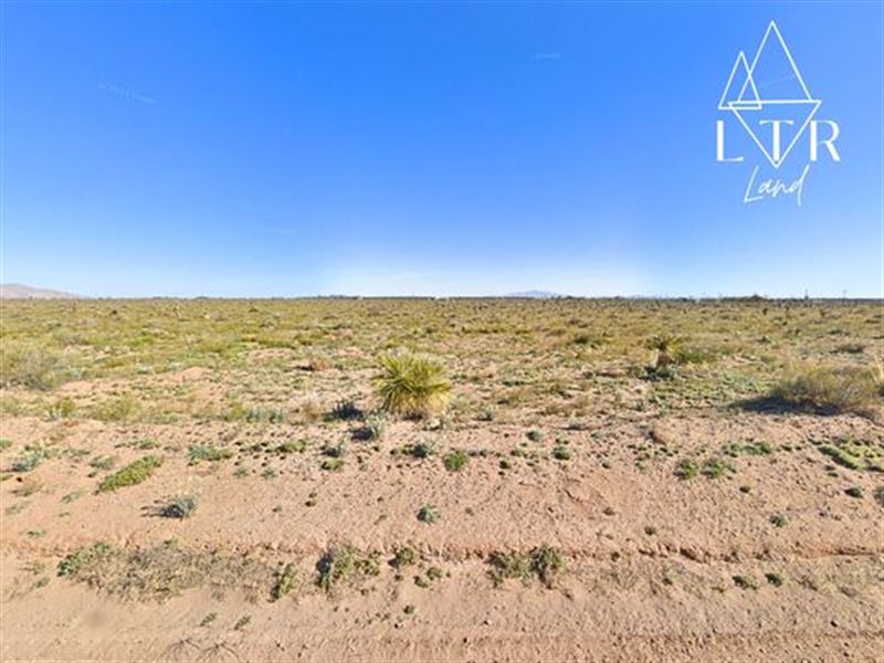 From Holding to Homestead : Deming : Luna County : New Mexico