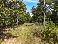 Summersville MO Beauty Of The Ozark : Summersville : Shannon County : Missouri