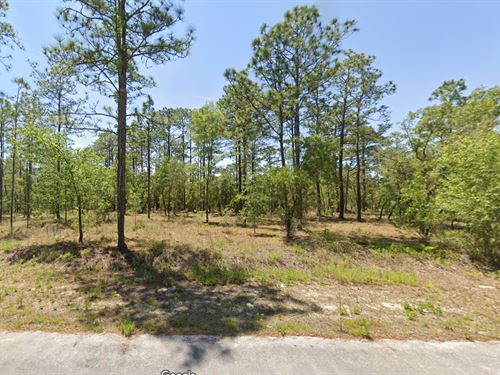 Say Yes to Dunnellon Land $299 Down : Dunnellon : Marion County : Florida