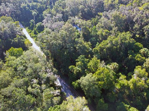 Marion Lot Close to Lakes & Trails : Citra : Marion County : Florida