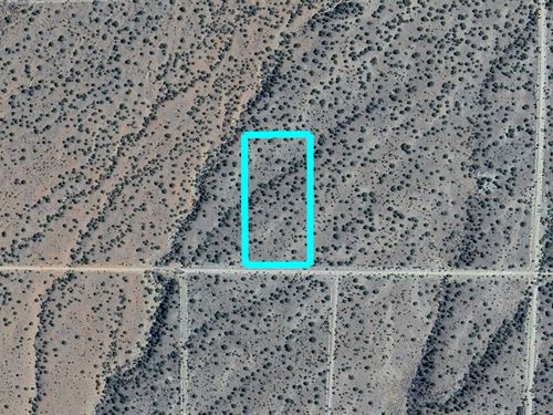 5+ Acres At The Forest Edge : Belen : Valencia County : New Mexico