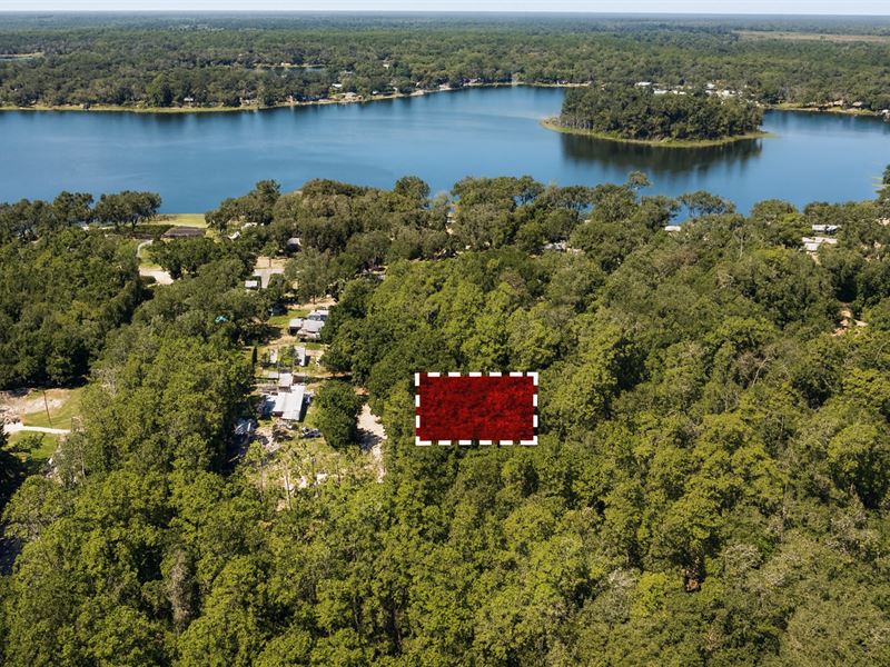 Next To Lake : Fort McCoy : Marion County : Florida